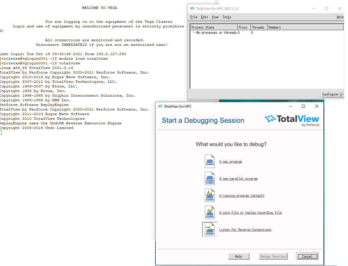 totalview -classicUI command output